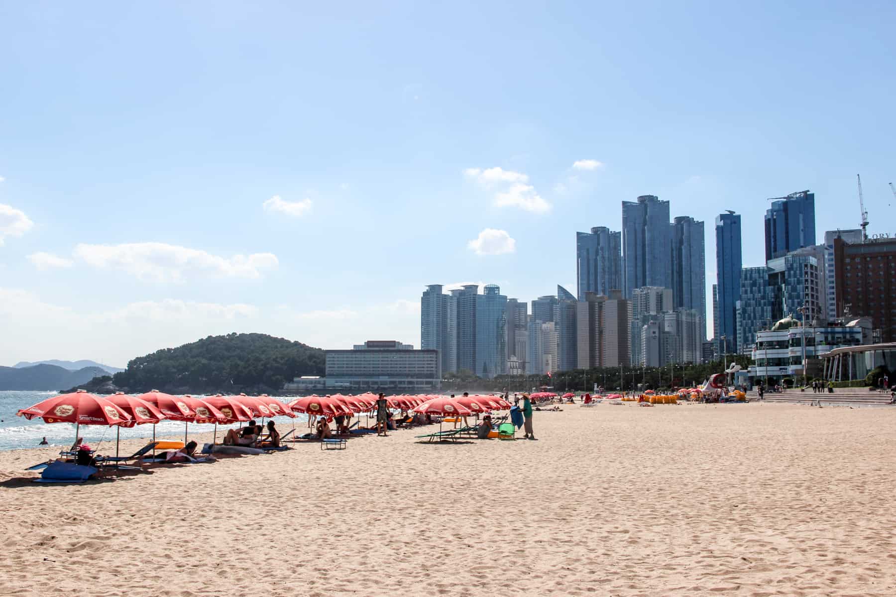 A yellow sand beach lined with red umbrellas in front of the modern building of Busan, South Korea. 