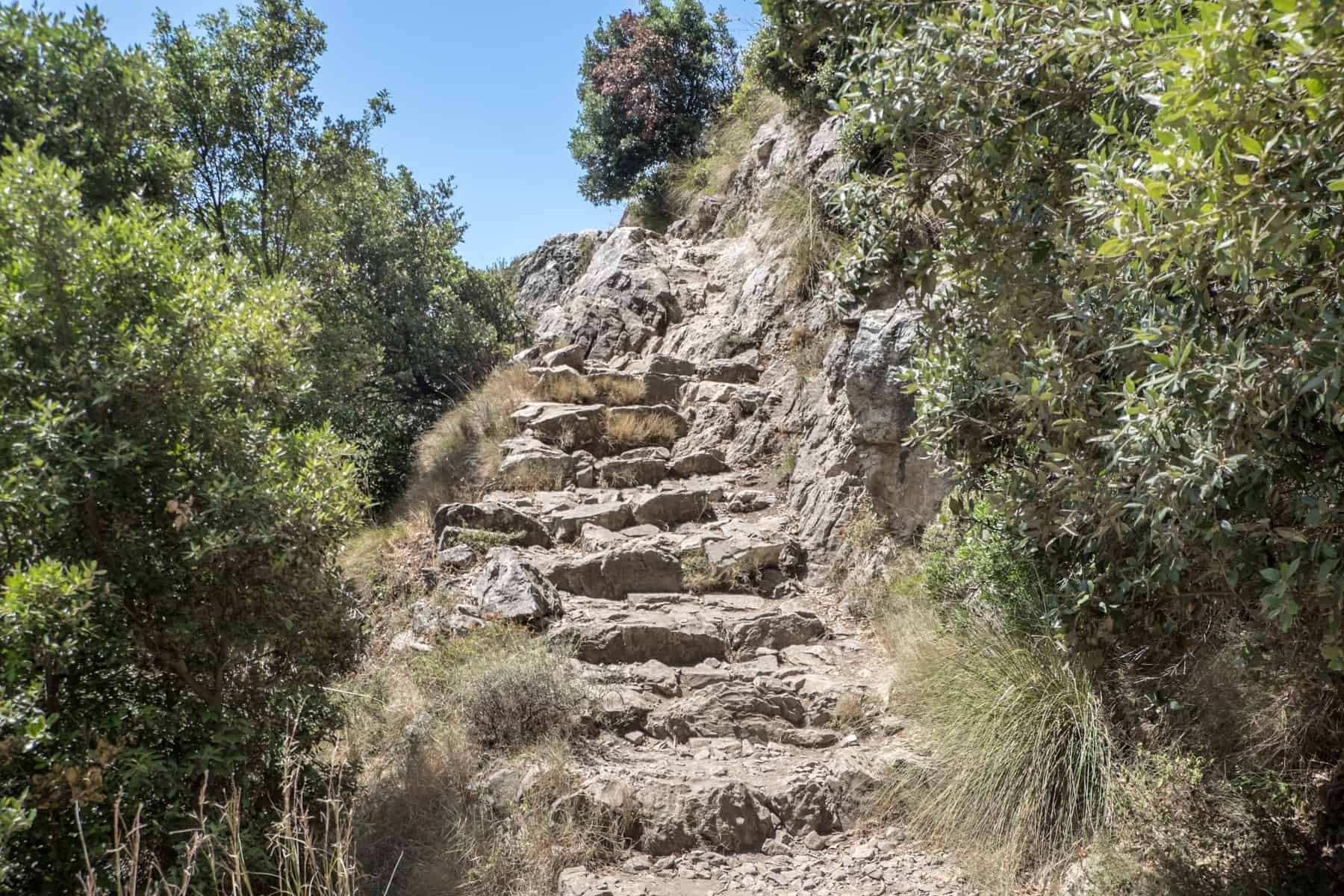 A steep rocky staircase through dense greenery on the mountainous Amalfi Path of the Gods hike. 