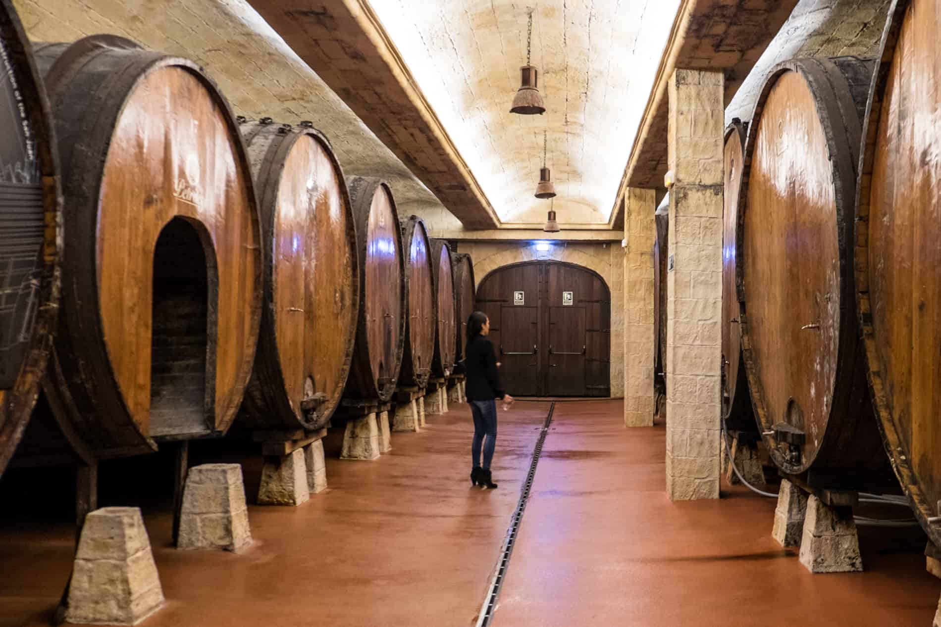 A woman walks in the middle of a room filled either side with large, wooden cider barrels. 