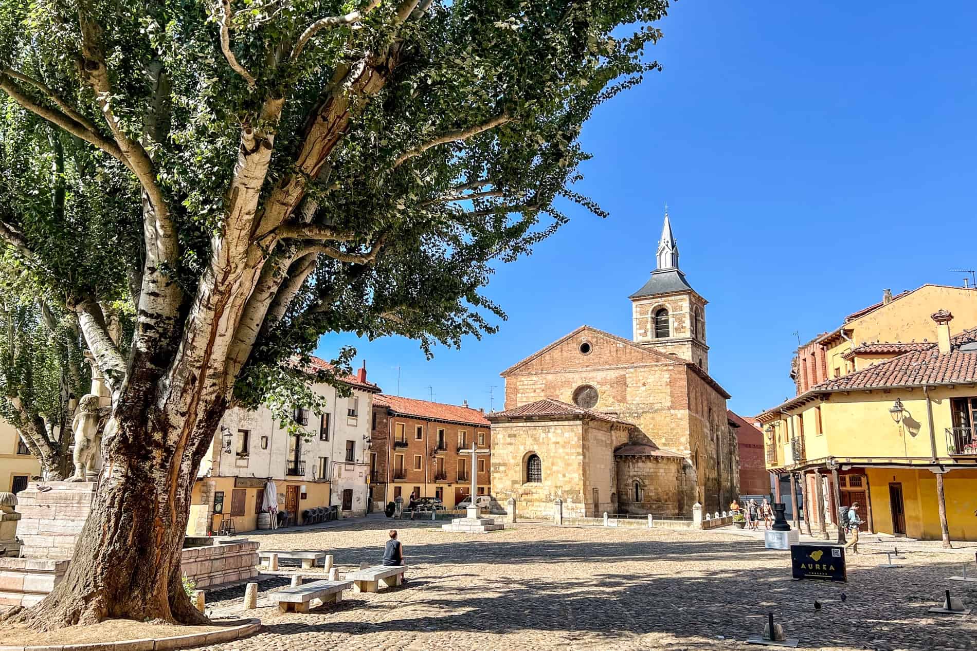 A woman sits on a bench in front of a huge tree, looking towards an old stone church in Plaza Del Grano, León.