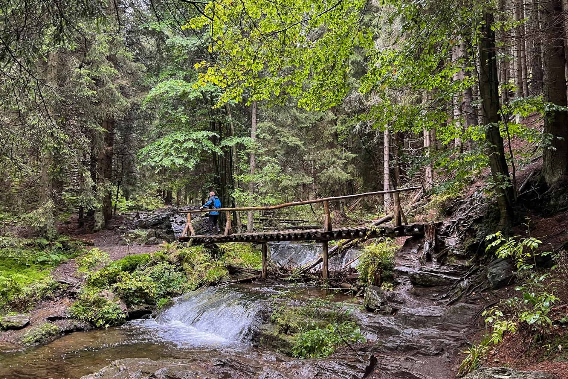A man hikes across a wooden bridge in a forest in the Jeseníky mountains in the Czech Republic.