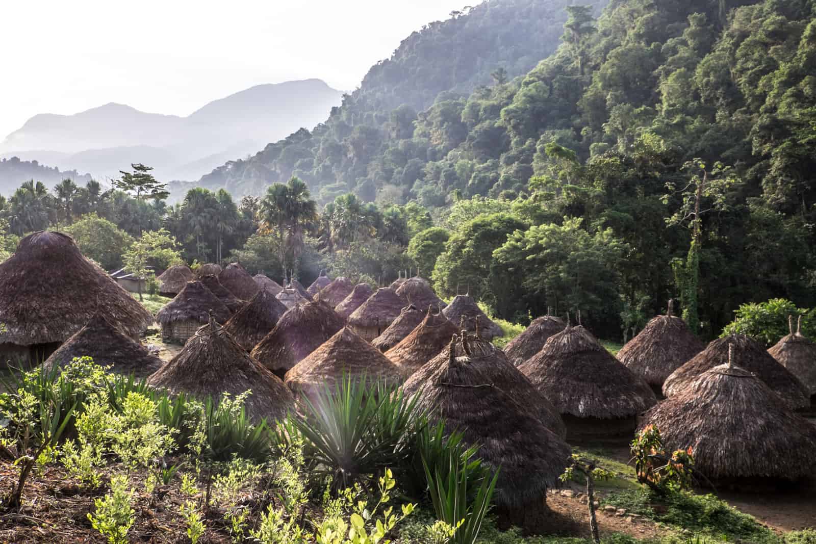 Straw cone huts of the Indigenous Kogui village on the Lost City trek Colombia. 