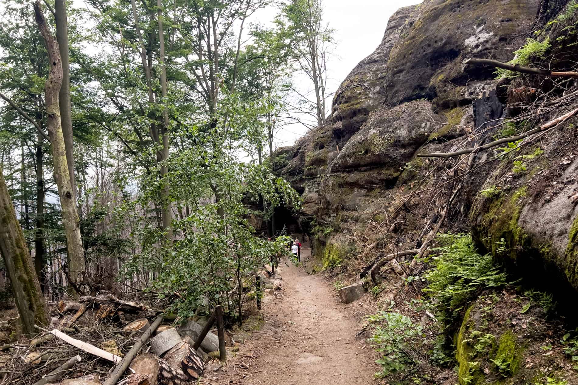 People hike on the rocky, forest pathway at the foot of Pravcicka Gate in Bohemian Switzerland. 