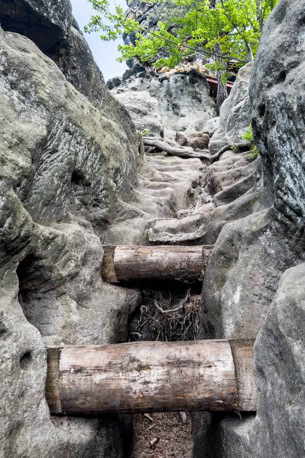 Wooden stump and rock carved steps on a hiking trail to Rudolf’s Rock in Bohemian Switzerland. 