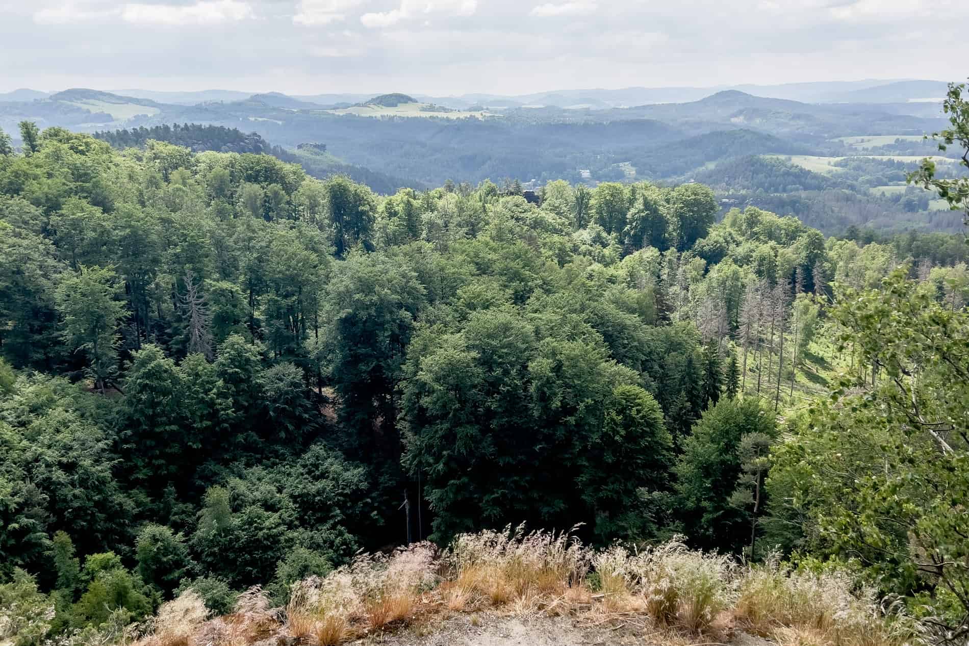 Elevated views over the rolling hills and forest patchwork of Bohemian Switzerland.