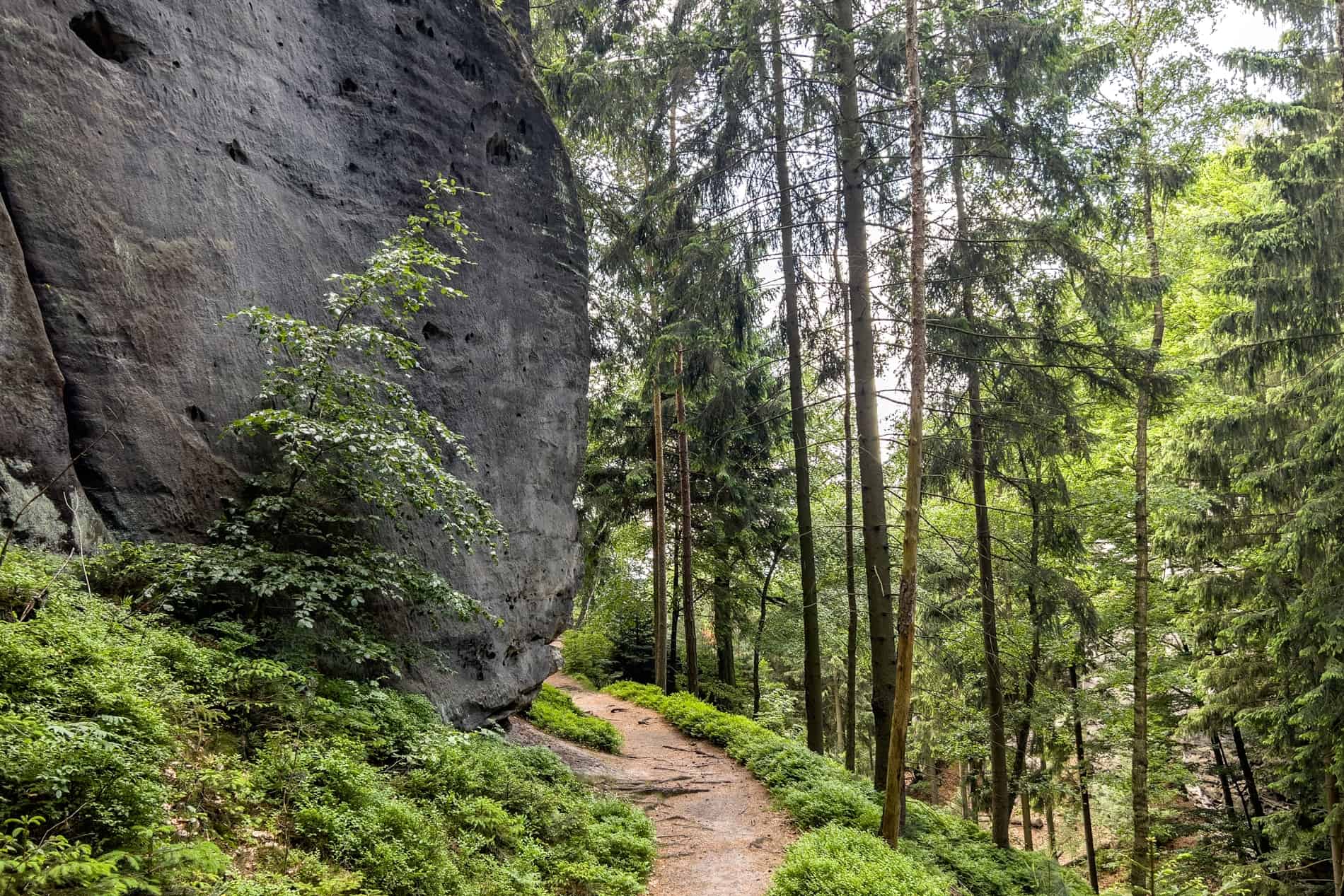 A forest hiking path curves around a large sandstone rock formation in Bohemian Switzerland. 