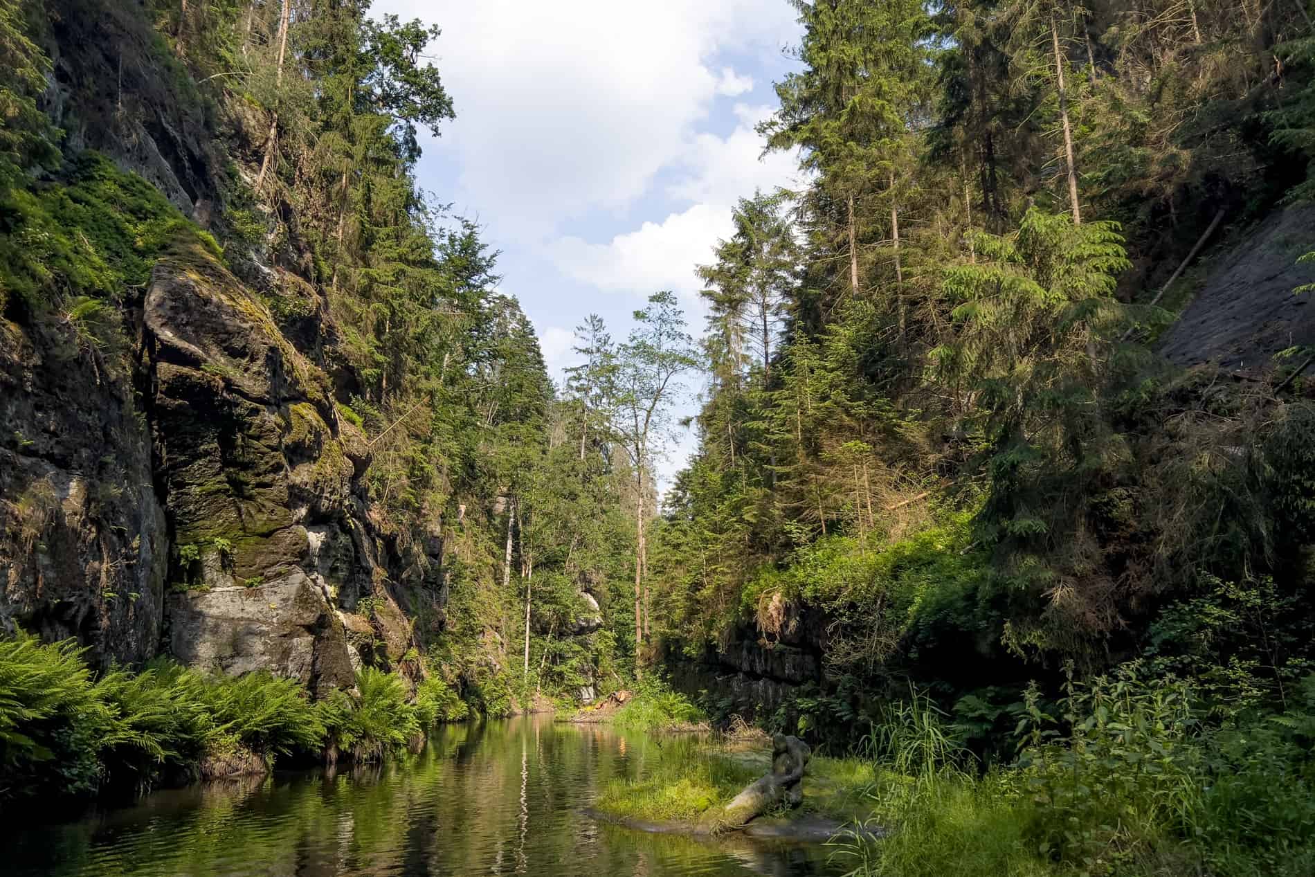 The rugged, forested Wild Gorge (Divoká Soutěska) in Bohemian Switzerland, Czech Republic. 