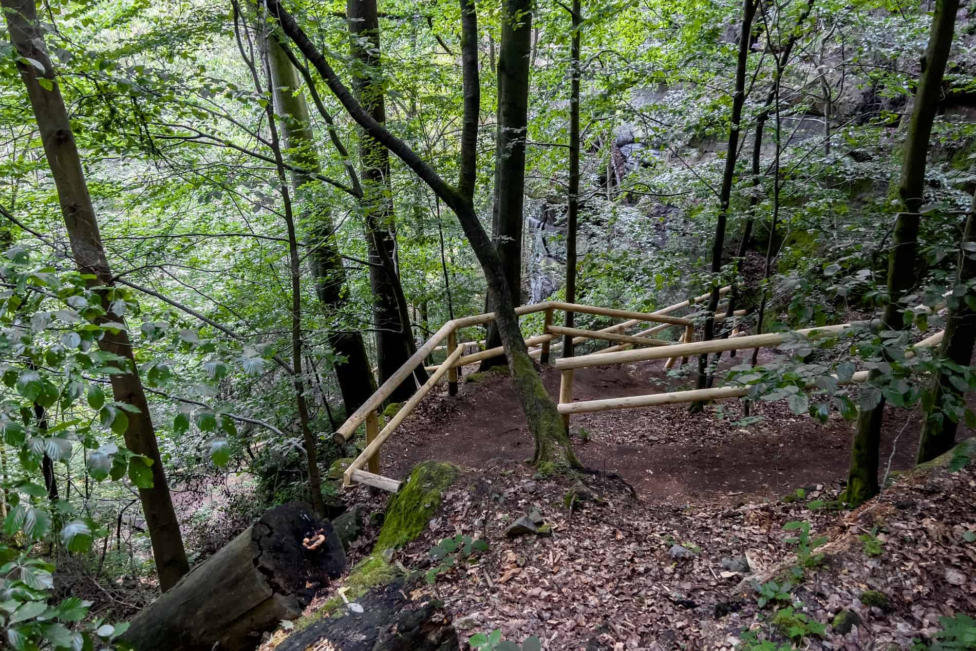 Wooden barriers of a steep zigzag climb out of a forest-set gorge in the Czech Republic. 
