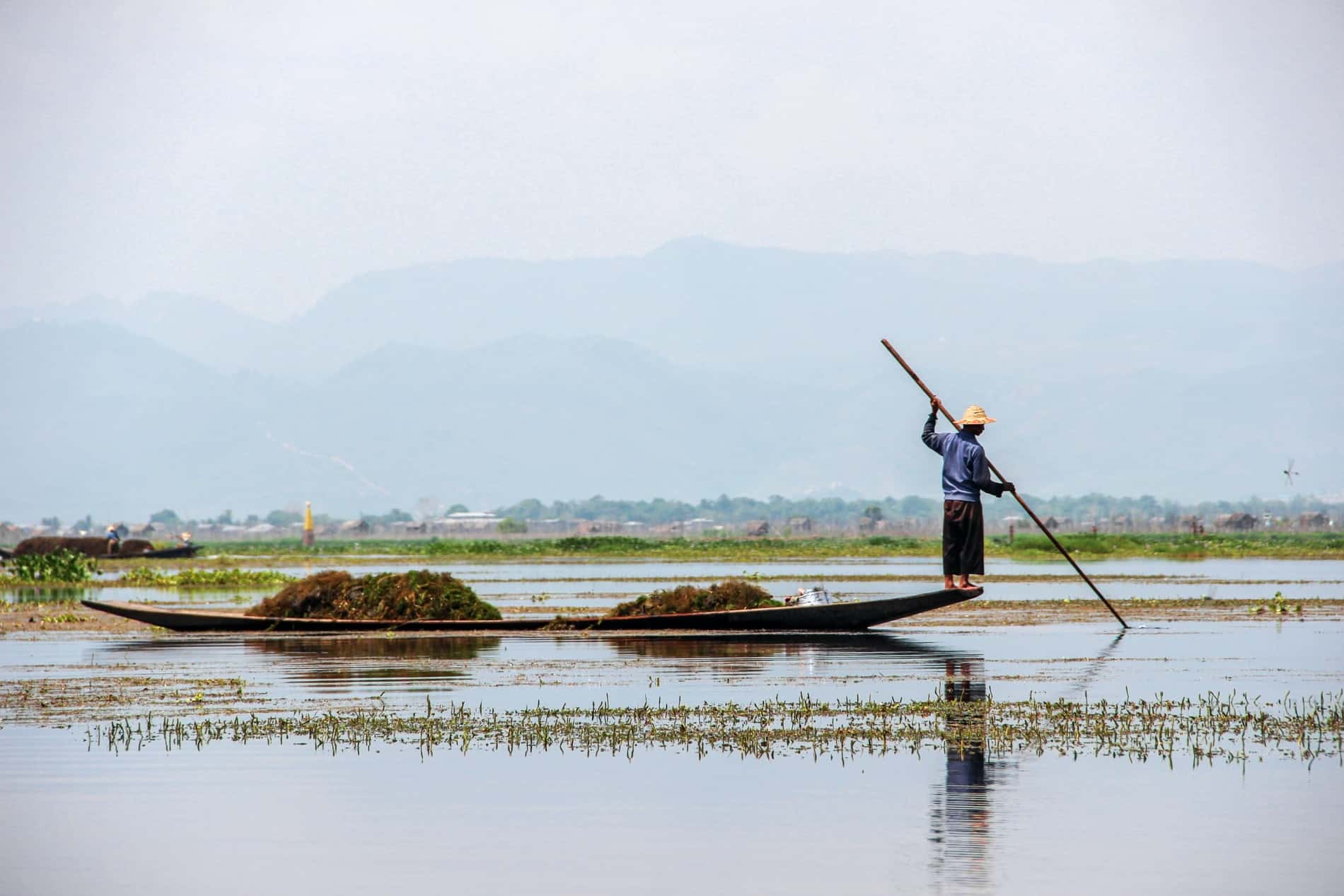 A man in a straw hat, purple shirt and brown Longyi standing on the end of a narrow wooden boat, poking the shallow waters of Inle Lake with a long stick.