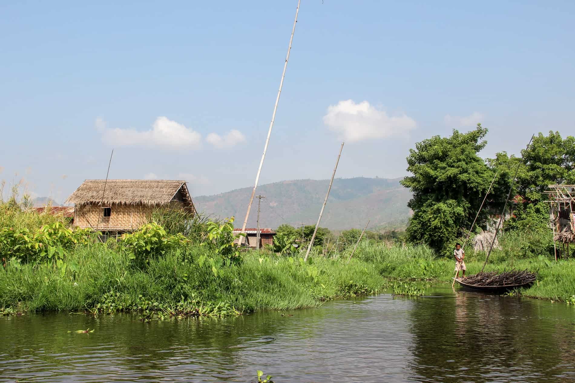 A young boy uses a long bamboo poll to steer his boat stacked with wooden logs on a stilt-house filled, green garden canal on Inle Lake. 