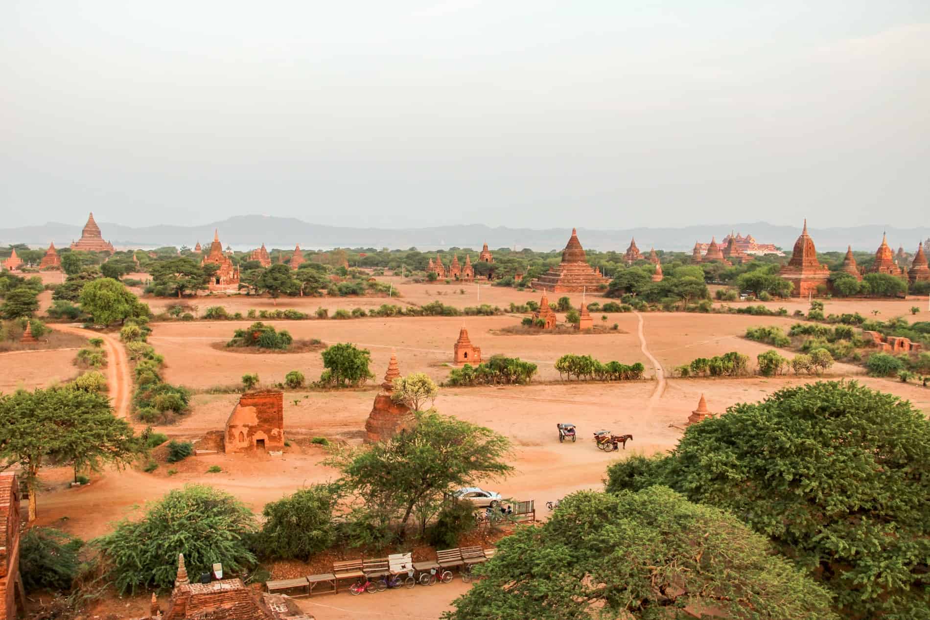 A vast tree dotted field filled with dozens of orange brick temple pagodas illuminated in a golden sunrise glow. 
