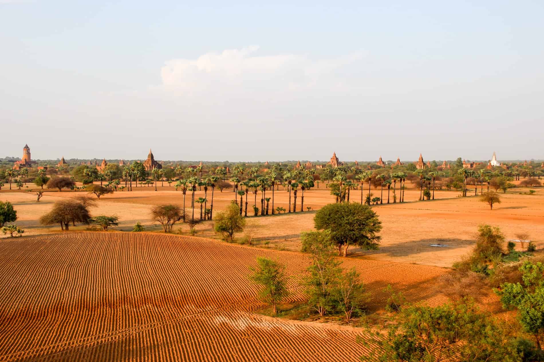 Temples poke through the foliage behind a large swathe of farmland, all bathed the in the golden light of sunrise. 