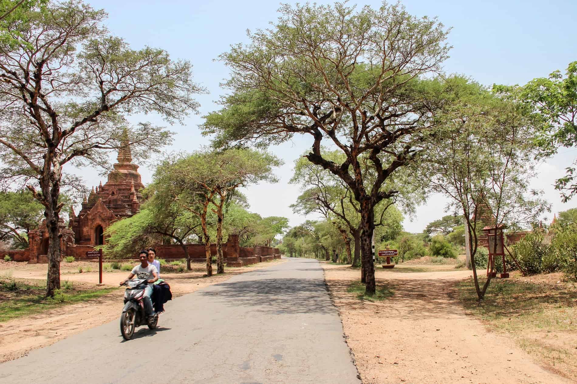 A man and woman riding a motorbike on a concrete path past a large temple pagoda surrounded by trees. 