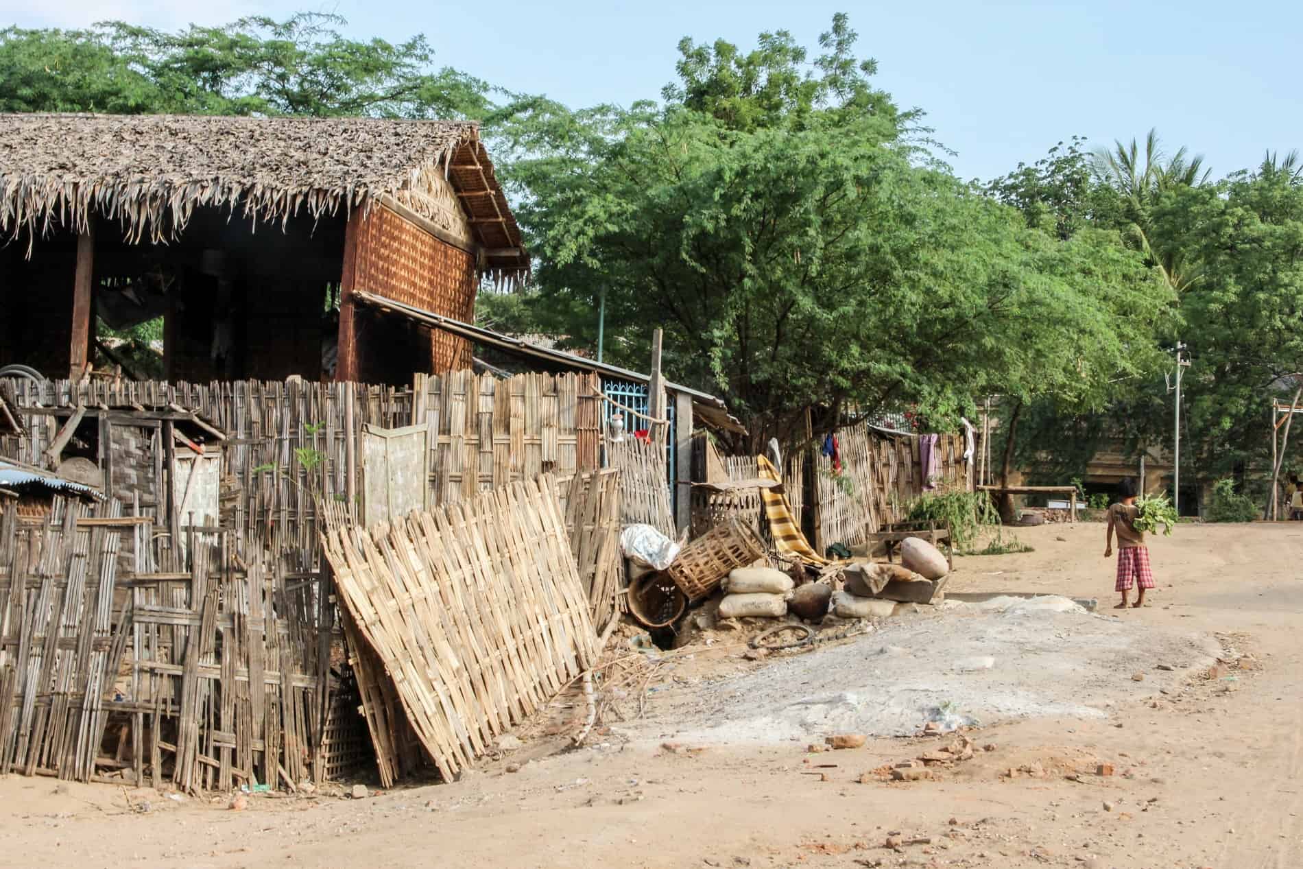 A child carrying green shubbery outside a thatched house in the arid Old Bagan area. 