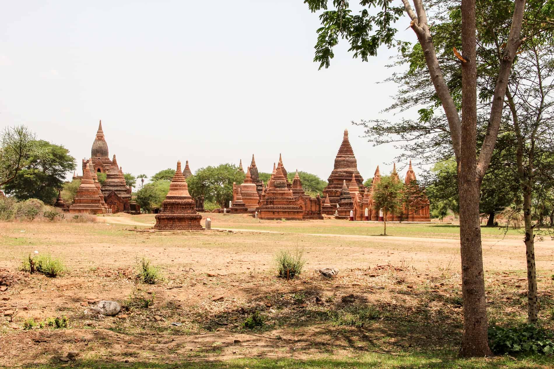 An open field in Bagan's Archaeology Zone filled with more than a dozen small orange pagodas. 