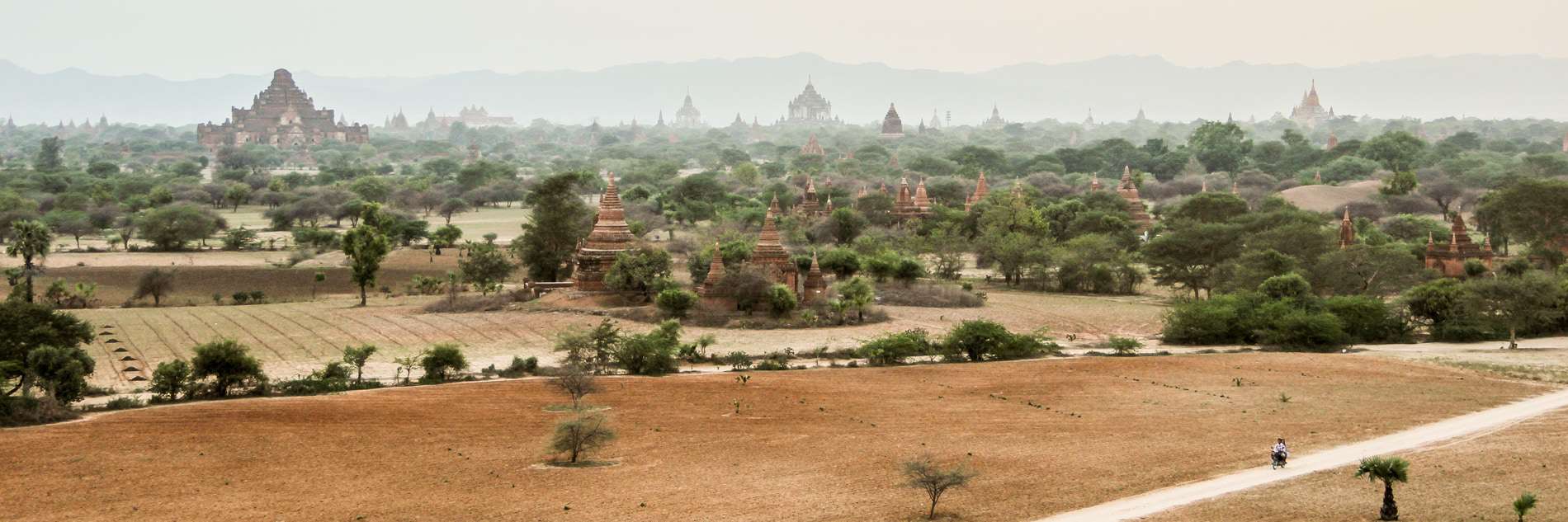 A sparse tree filled, arid field with dozens of orange brick temple pagodas.