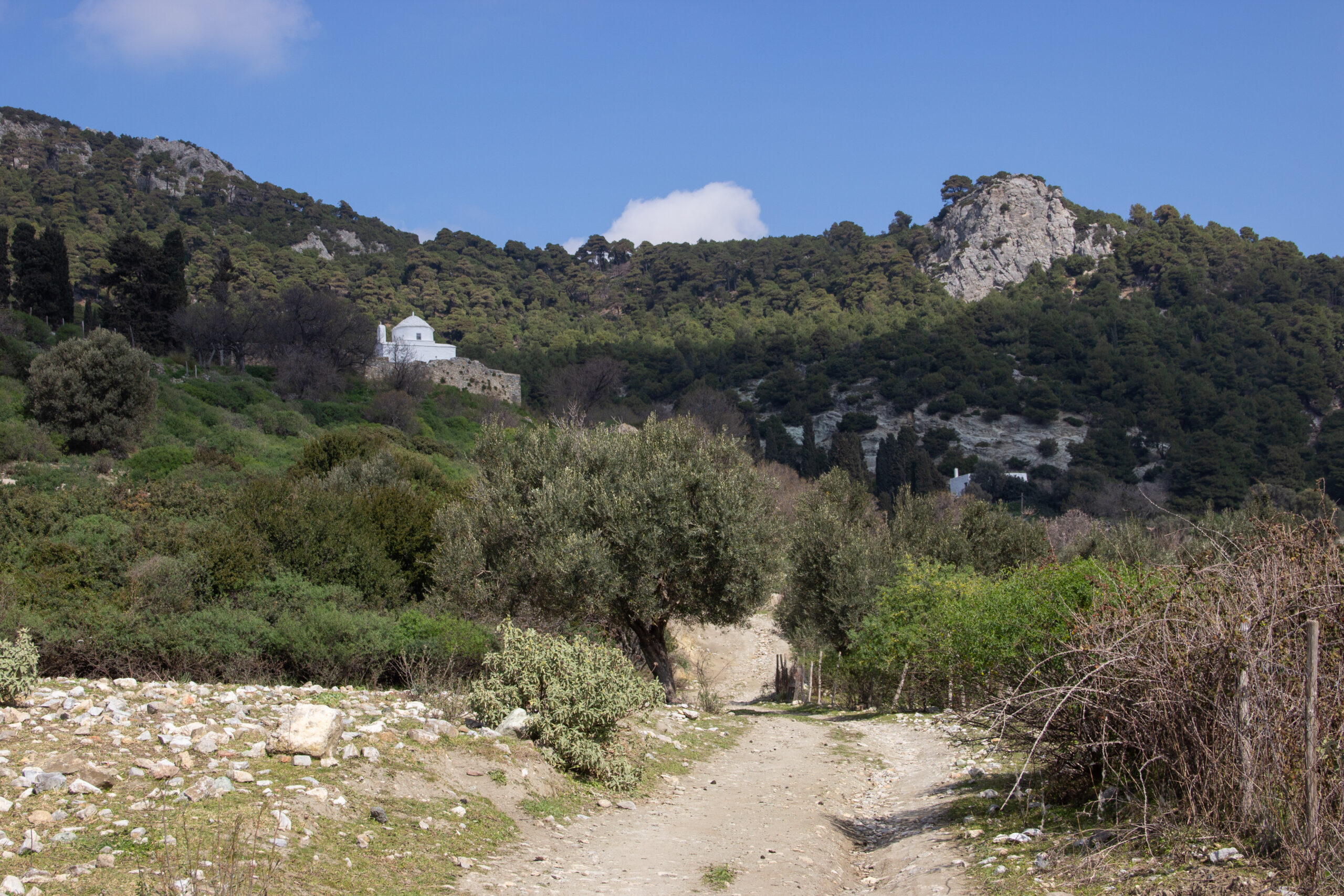 A small white Byzantine-style church sits upon a rock in a pocket of forested cliffs on Skyros Island, Greece.