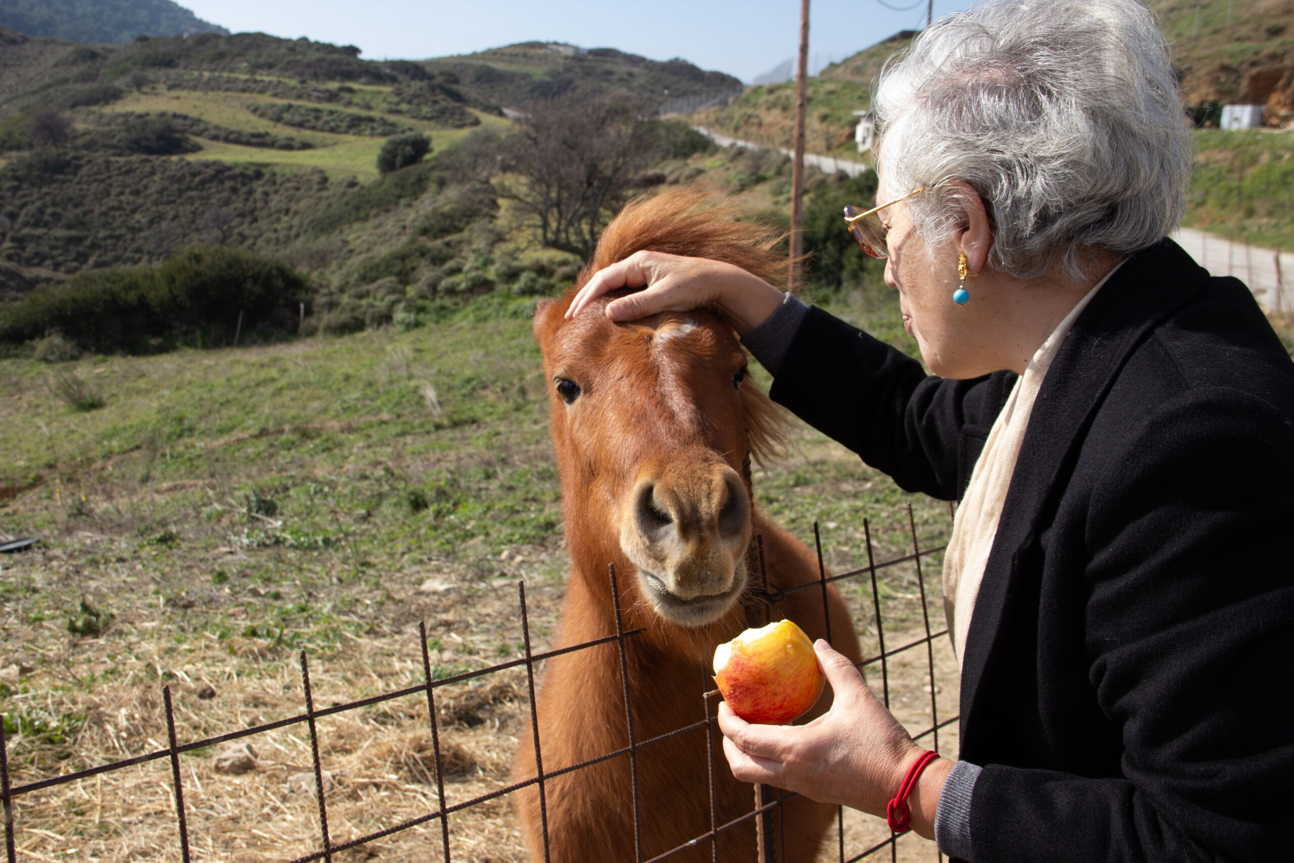 A woman with white hair, wearing a black coat, tenderly strokes a Skyros Pony while feeding it an apple.